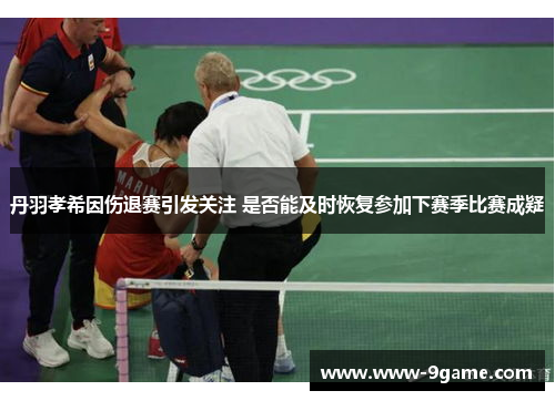 丹羽孝希因伤退赛引发关注 是否能及时恢复参加下赛季比赛成疑