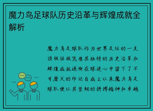 魔力鸟足球队历史沿革与辉煌成就全解析 魔力鸟足球队历史沿革与辉煌成就全解析
