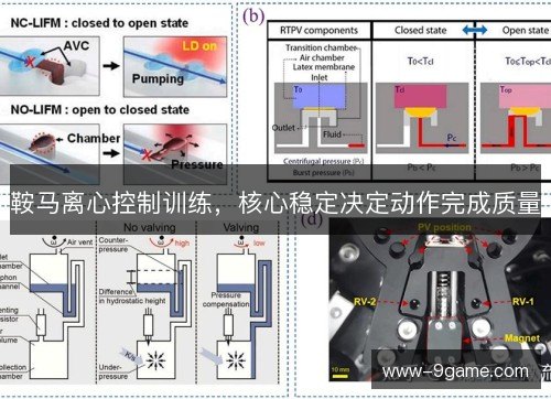 鞍马离心控制训练，核心稳定决定动作完成质量